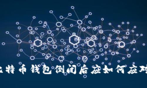 比特币钱包倒闭后应如何应对？