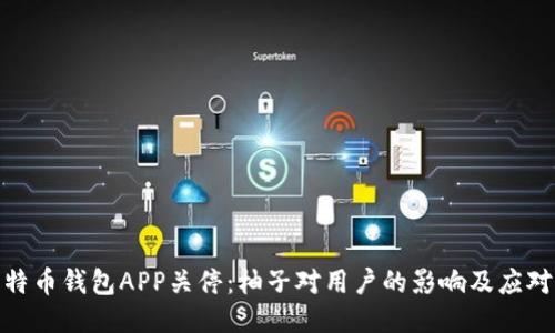 : 比特币钱包APP关停:柚子对用户的影响及应对策略