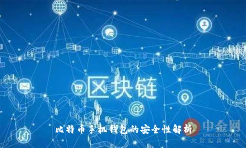 比特币手机钱包的安全性解析