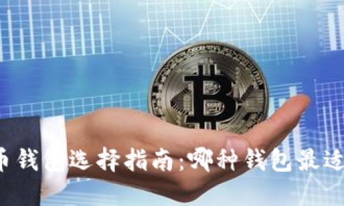比特币钱包选择指南:哪种钱包最适合你?