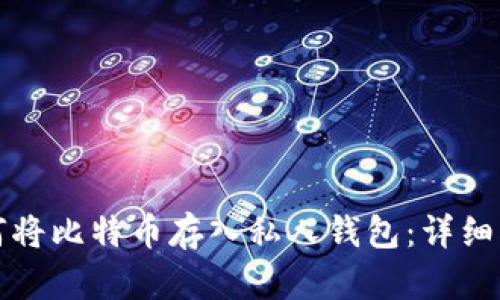 如何将比特币存入私人钱包:详细指南