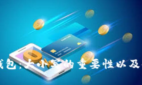 区块链钱包:大小写的重要性以及使用指南
