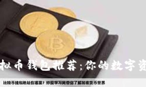 最实用的虚拟币钱包推荐:你的数字资产安全助手
