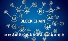 比特币冷钱包更新慢的原