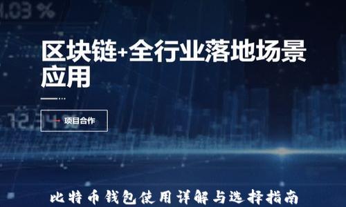 
比特币钱包使用详解与选择指南