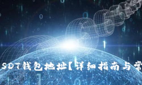  如何查询USDT钱包地址？详细指南与常见问题解答