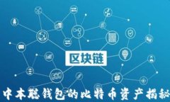 中本聪钱包的比特币资产