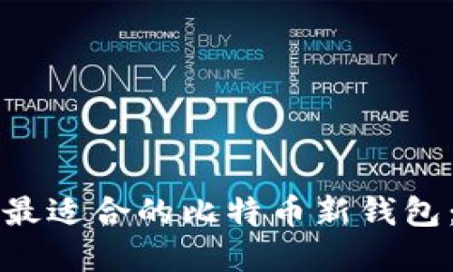 如何选择最适合的比特币新钱包：全面指南