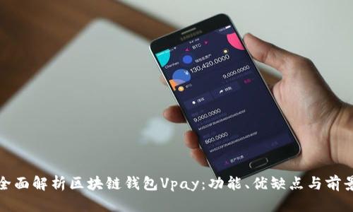 全面解析区块链钱包Vpay：功能、优缺点与前景