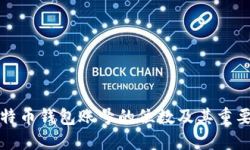 比特币钱包账号的位数及其重要性