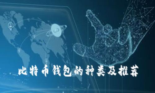 比特币钱包的种类及推荐