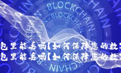 比特币在钱包里能丢吗？如何保障您的数字资产安全？
比特币在钱包里能丢吗？如何保障您的数字资产安全？