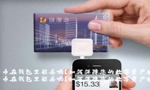 比特币在钱包里能丢吗？如何保障您的数字资产安全？
比特币在钱包里能丢吗？如何保障您的数字资产安全？