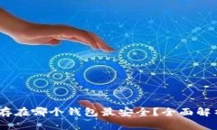 USDT币存在哪个钱包最安全