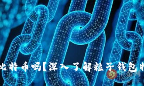 粒子钱包能挖到比特币吗？深入了解粒子钱包特色及其挖矿功能