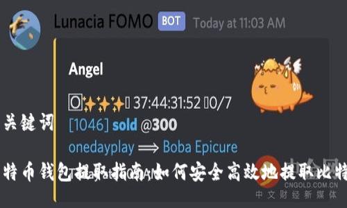 与关键词

比特币钱包提取指南：如何安全高效地提取比特币