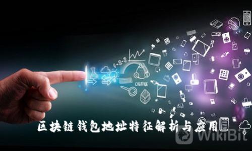 区块链钱包地址特征解析与应用
