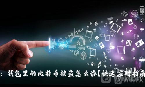 : 钱包里的比特币被盗怎么办？快速应对指南
