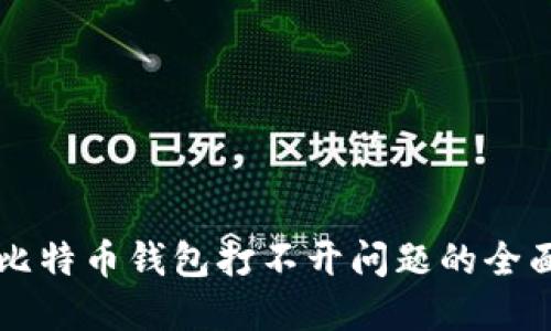 解决比特币钱包打不开问题的全面指南