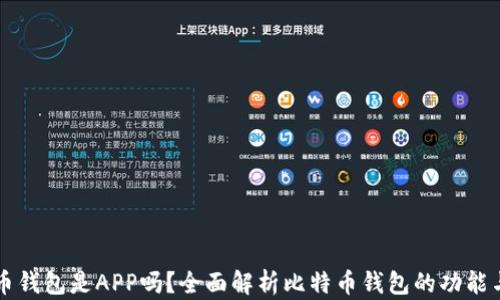 
比特币钱包是APP吗？全面解析比特币钱包的功能与类型