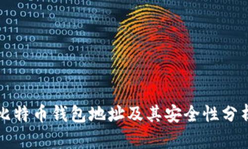 比特币钱包地址及其安全性分析