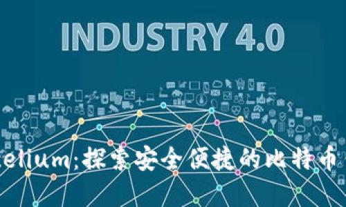 Mycelium：探索安全便捷的比特币钱包