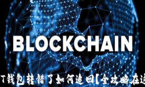 
USDT钱包转错了如何追回？全攻略在这里！