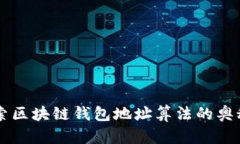 深入探索区块链钱包地址