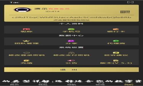 比特币钱包的类型详解：选择适合你的数字资产存储方案