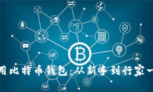 如何使用比特币钱包：从新手到行家一步到位