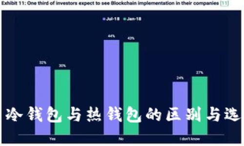 比特币冷钱包与热钱包的区别与选择指南