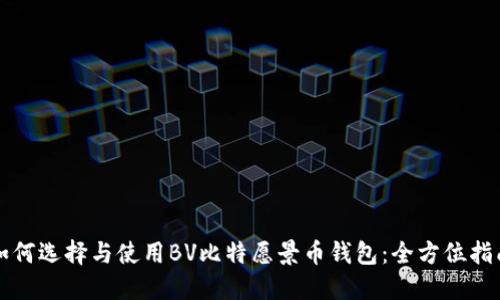 如何选择与使用BV比特愿景币钱包：全方位指南