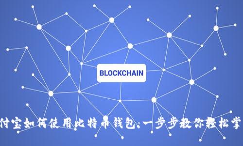 支付宝如何使用比特币钱包：一步步教你轻松掌握！
