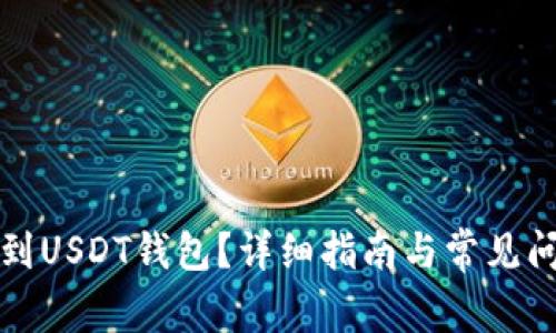 如何找到USDT钱包？详细指南与常见问题解答