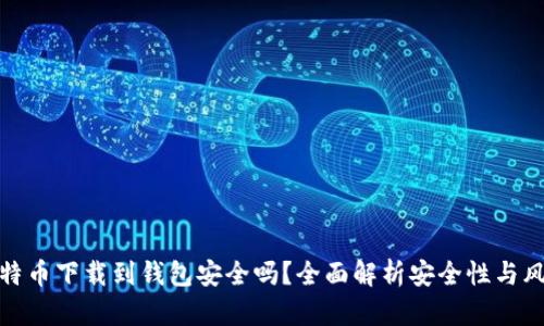 比特币下载到钱包安全吗？全面解析安全性与风险