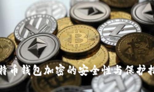 比特币钱包加密的安全性与保护措施