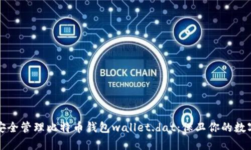 如何安全管理比特币钱包wallet.dat：保卫你的数字财富