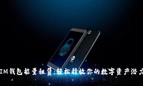 IM钱包能量租赁：轻松释放你的数字资产潜力