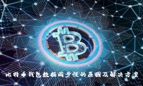 比特币钱包数据同步慢的原因及解决方案