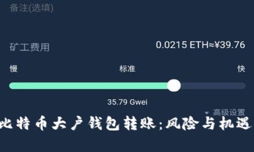 揭秘比特币大户钱包转账：风险与机遇并存!