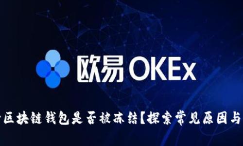 如何判断区块链钱包是否被冻结？探索常见原因与解决方案