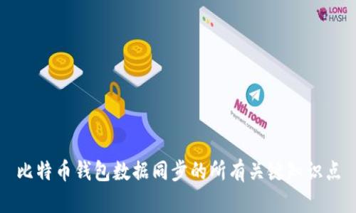 比特币钱包数据同步的所有关键知识点