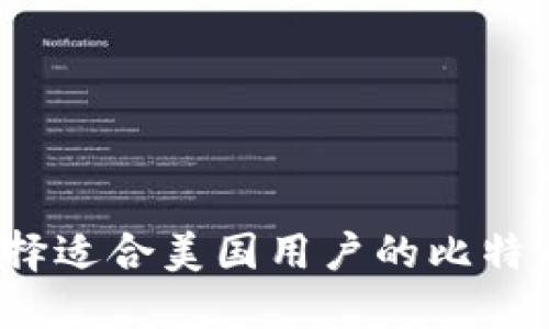 如何选择适合美国用户的比特币钱包？