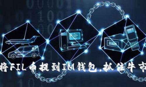 如何将FIL币提到IM钱包，抓住牛市机会