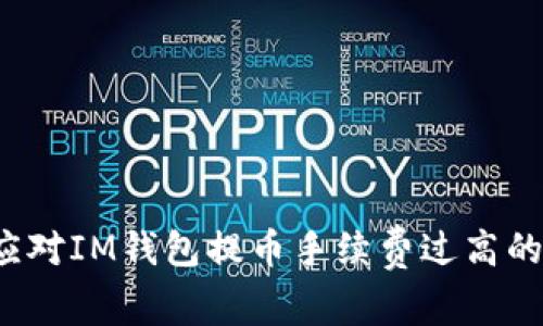 如何应对IM钱包提币手续费过高的挑战？