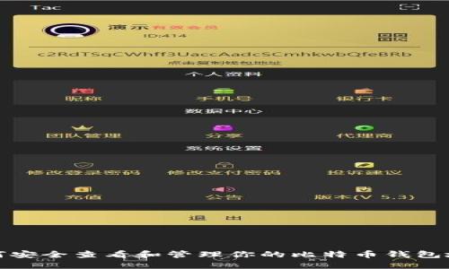 如何安全查看和管理你的比特币钱包地址