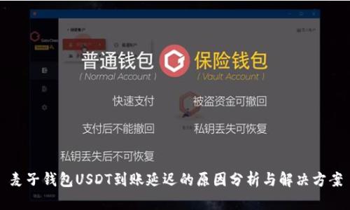 麦子钱包USDT到账延迟的原因分析与解决方案