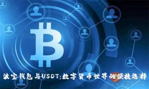 波宝钱包与USDT：数字货币世界的便捷选择