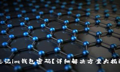 忘记im钱包密码？详细解决方案大揭秘