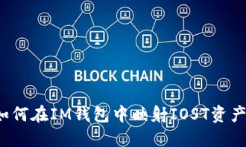 如何在IM钱包中映射IOST资产？